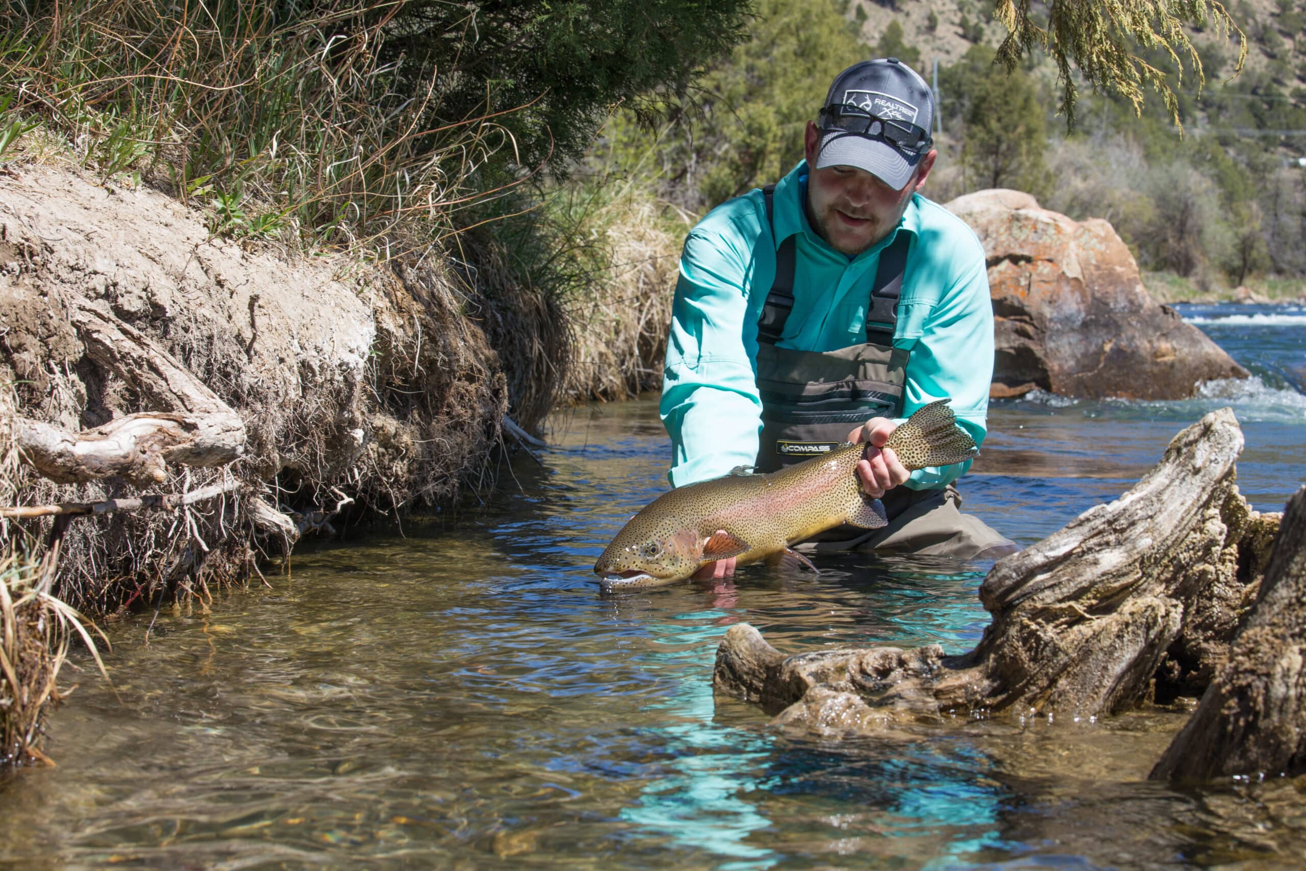 Trout Fishing Hotspot