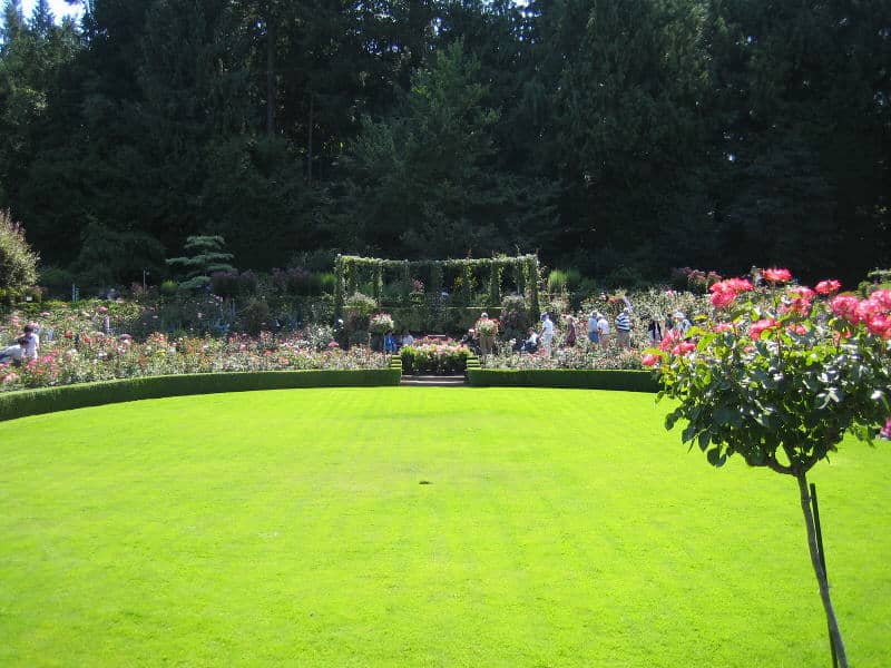 Rose Garden