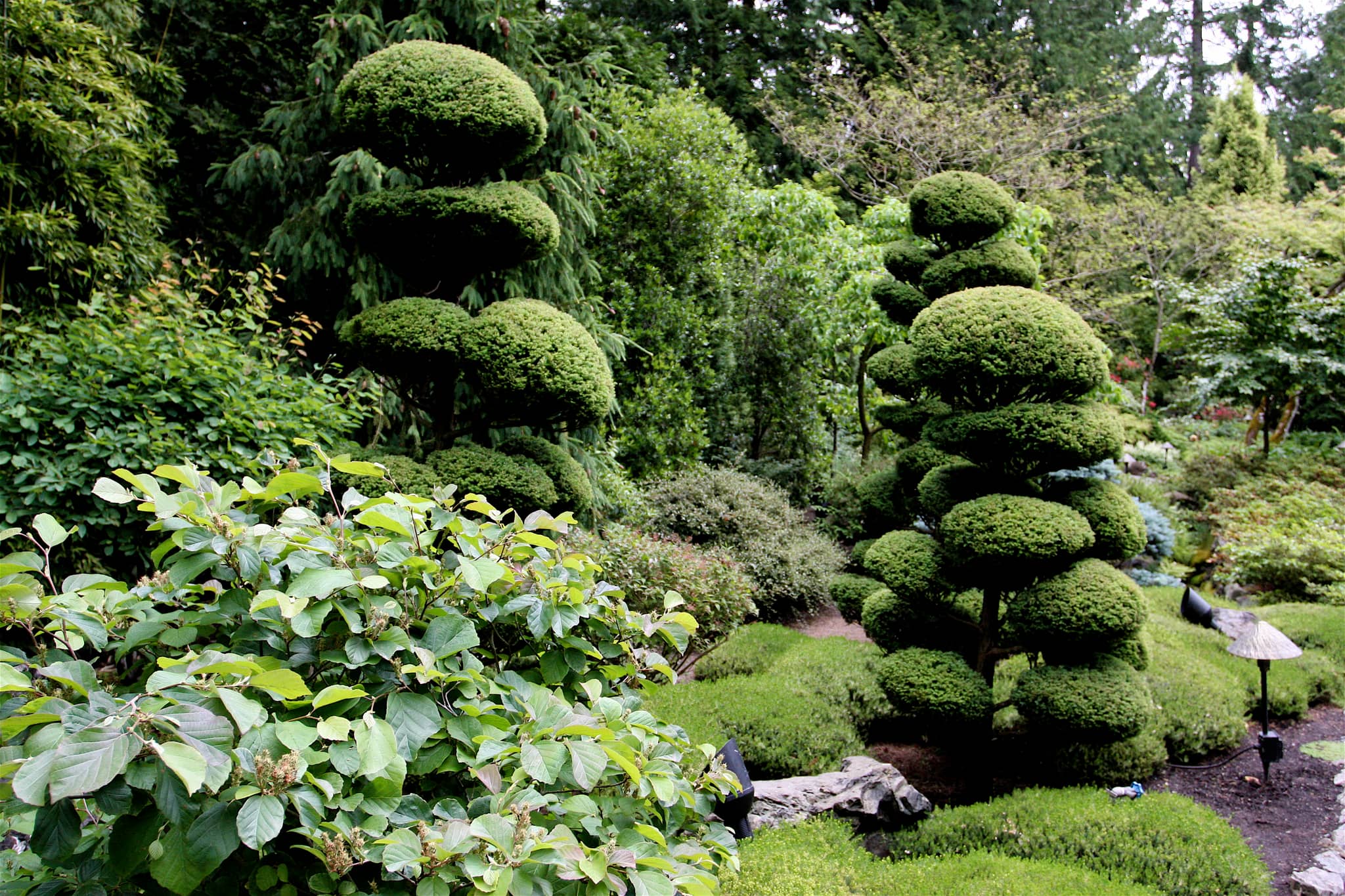 Japanese Garden