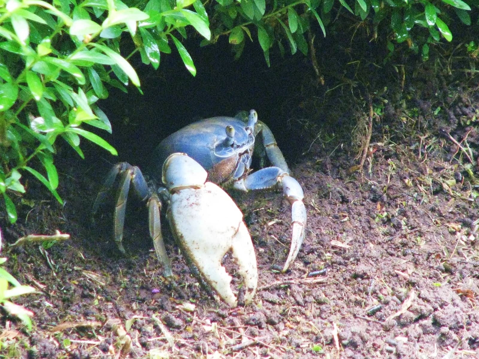 Abundant Wildlife