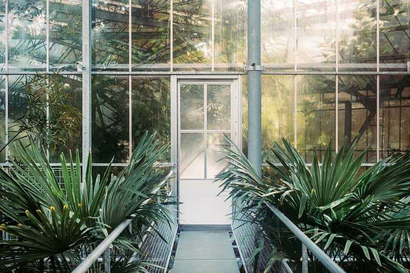 Hortus Botanicus Amsterdam