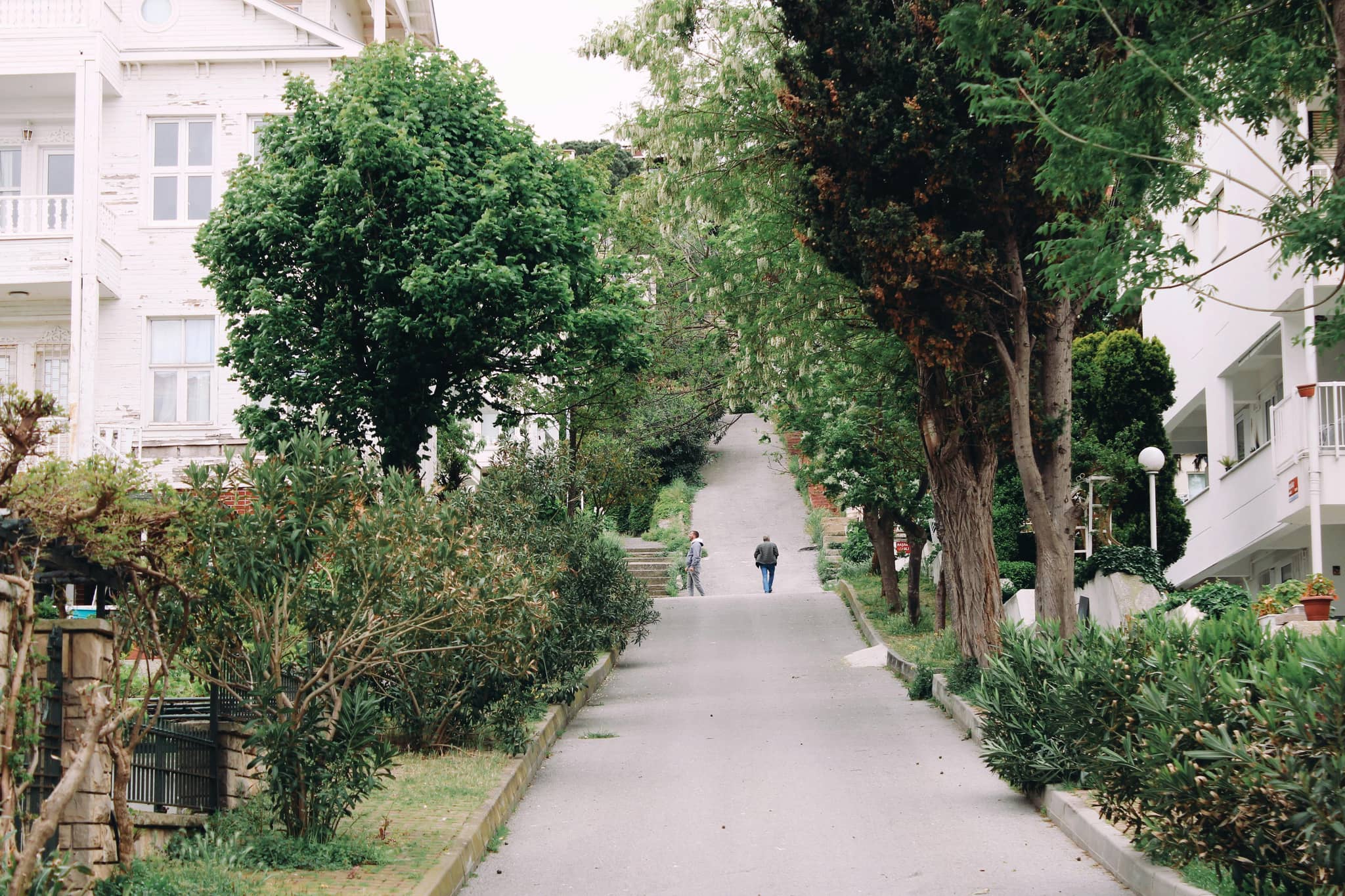 Island Stroll