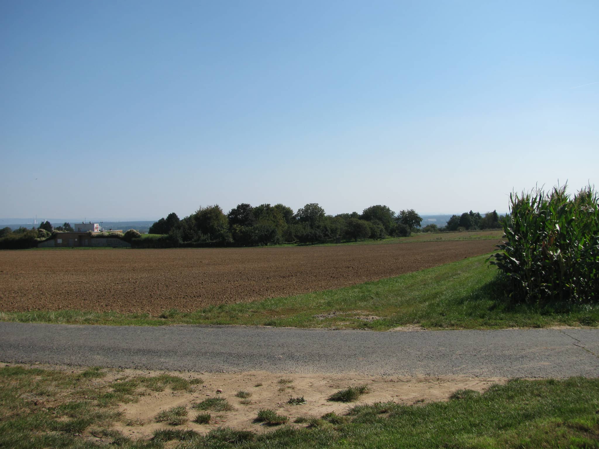 Panoramic Views