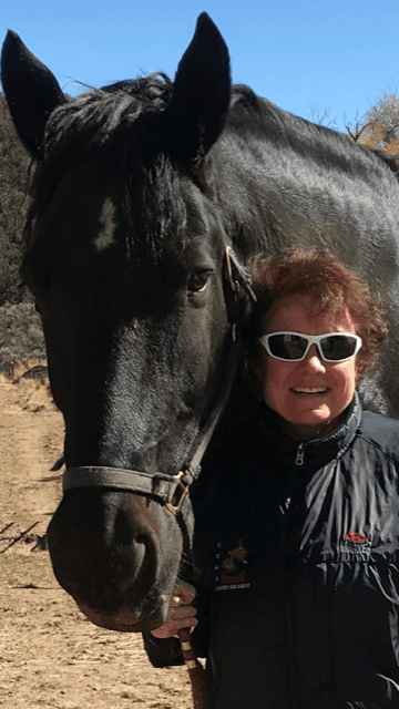 The Pre-Purchase Examination