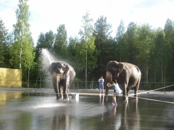 Ethical Feeding Opportunities