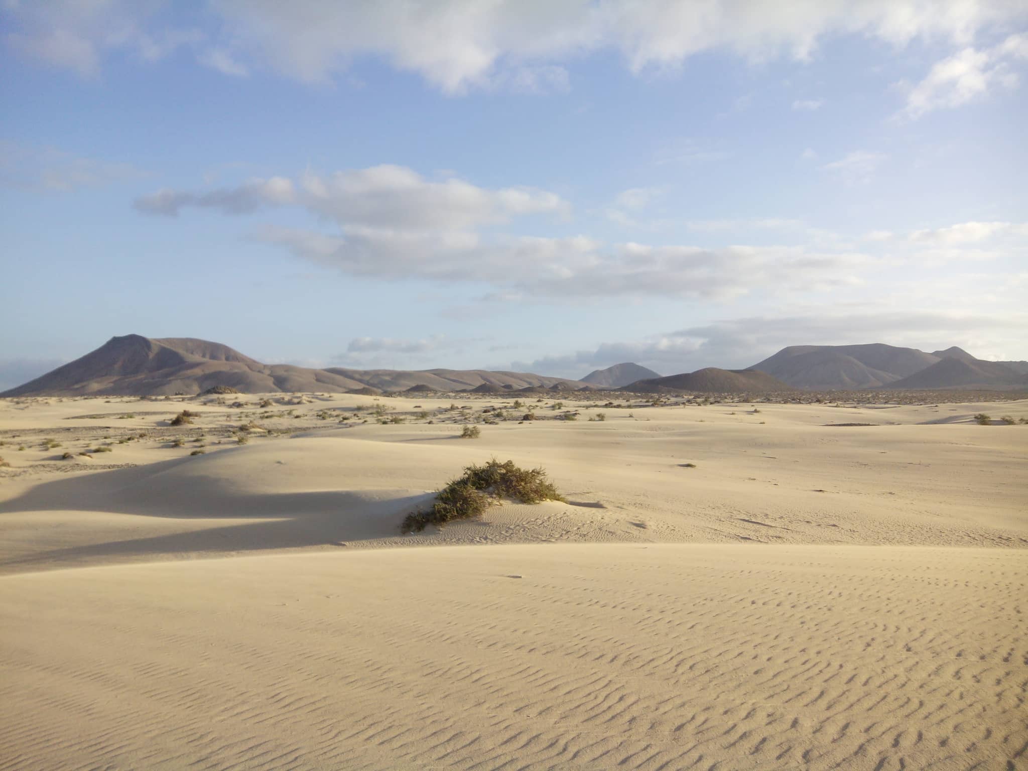 The Majestic Dunes