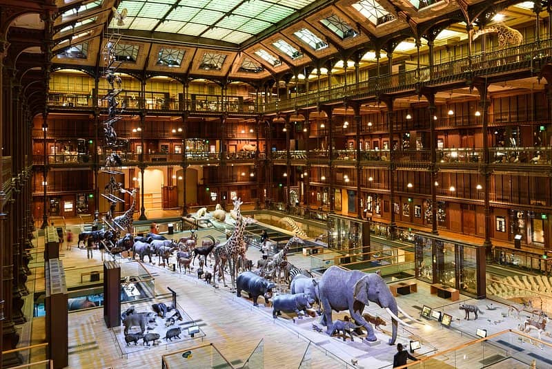 Historic Library Interior