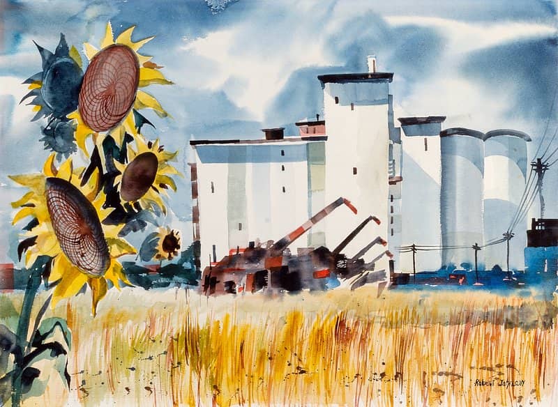 Seasonal Sunflower Fields