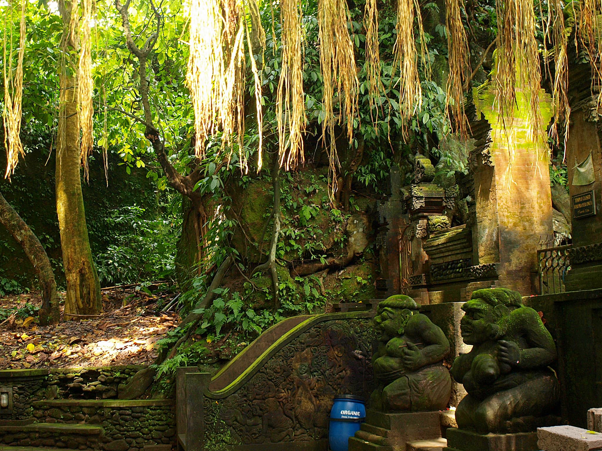 Monkey Forest Ubud