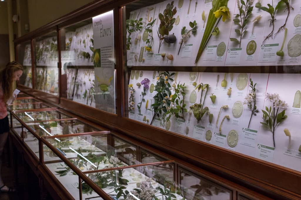 Harvard Museum of Natural History