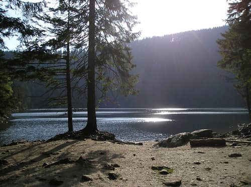 Glacial Lakes & Peat Bogs