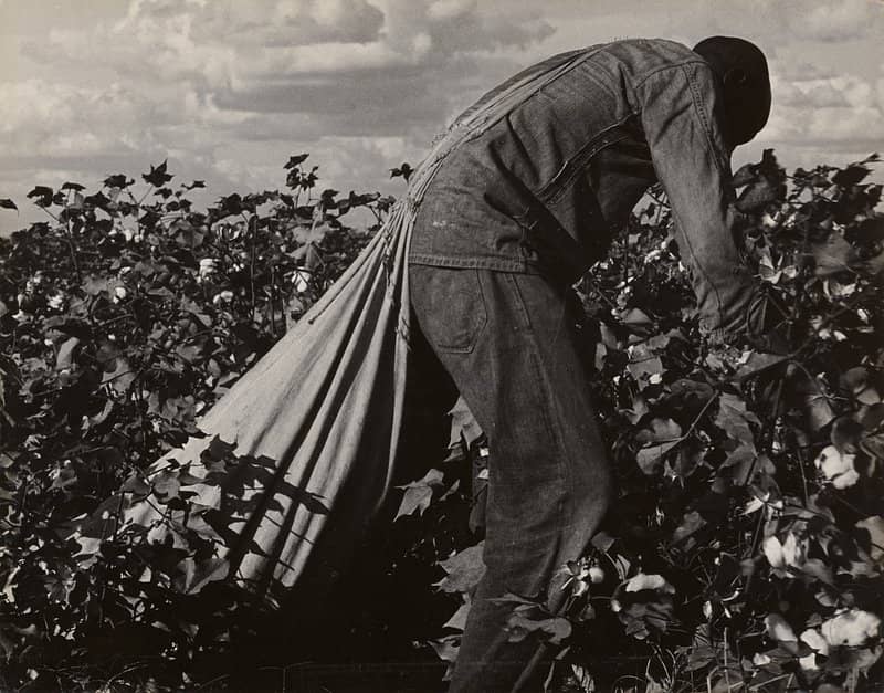 Dorothea Lange Photography