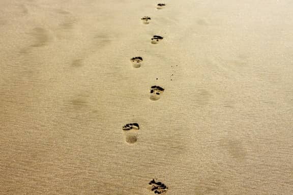 Archipelago Walking Paths
