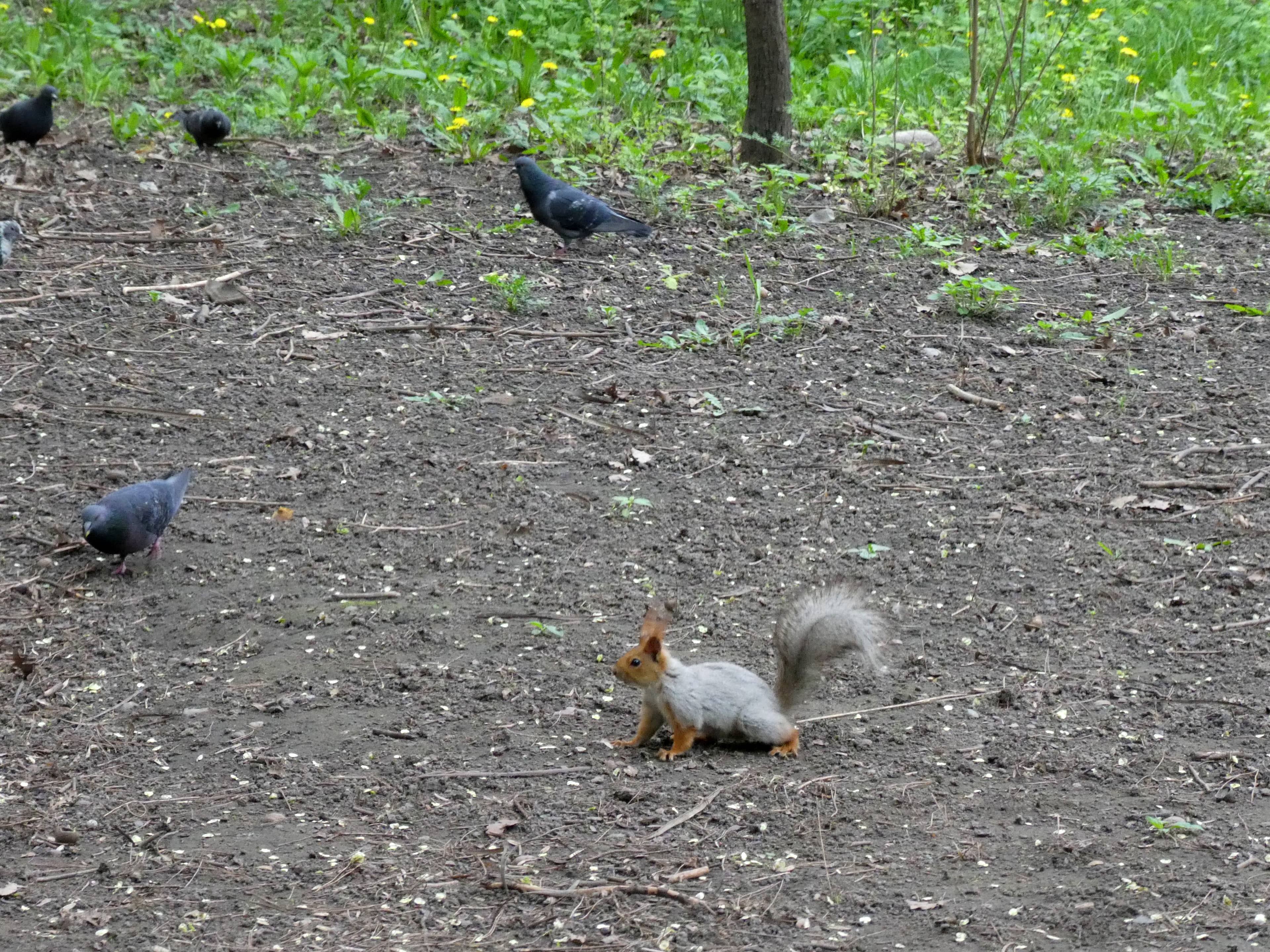 Bird & Wildlife Spotting