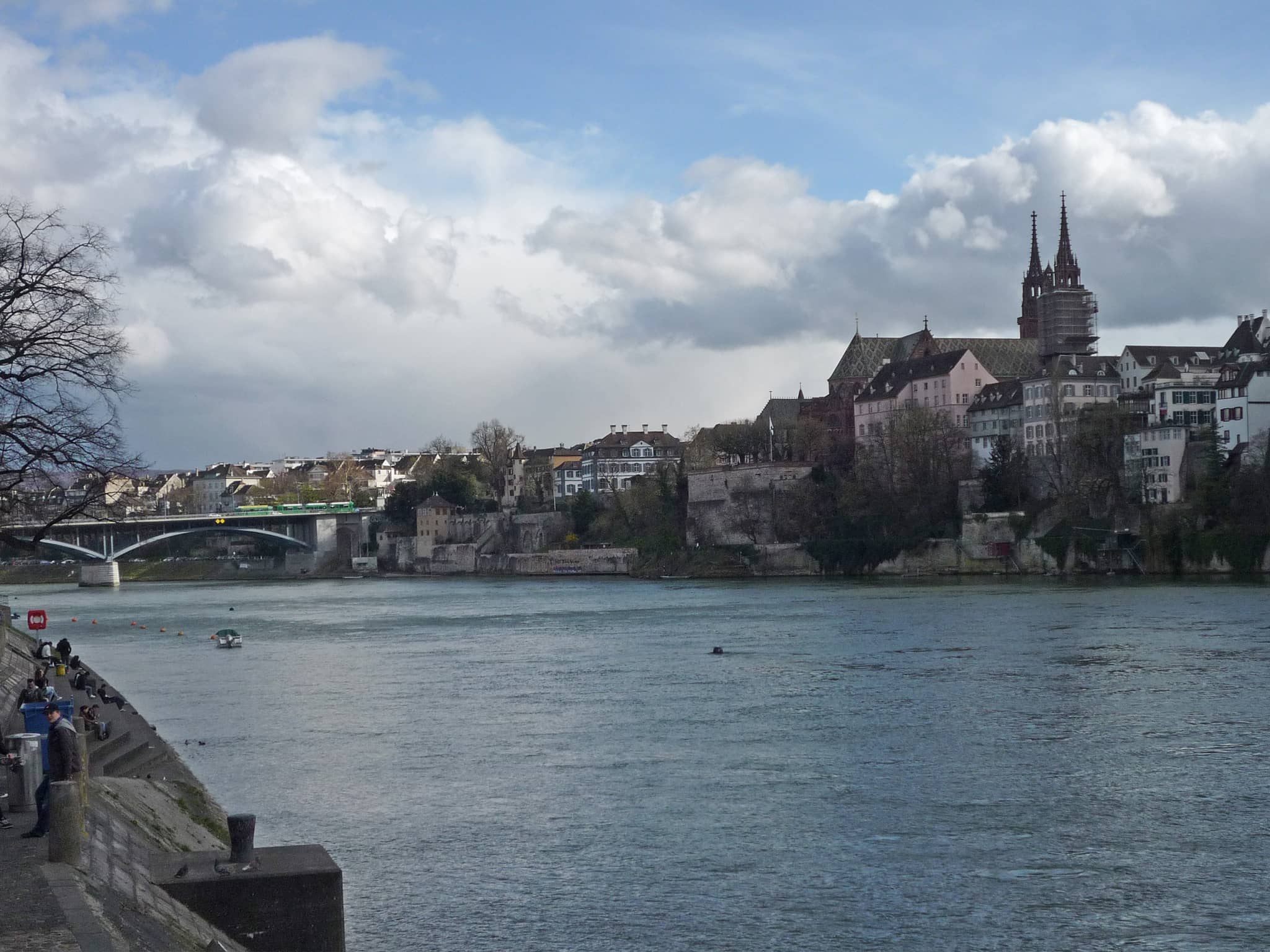 Rhine River Views