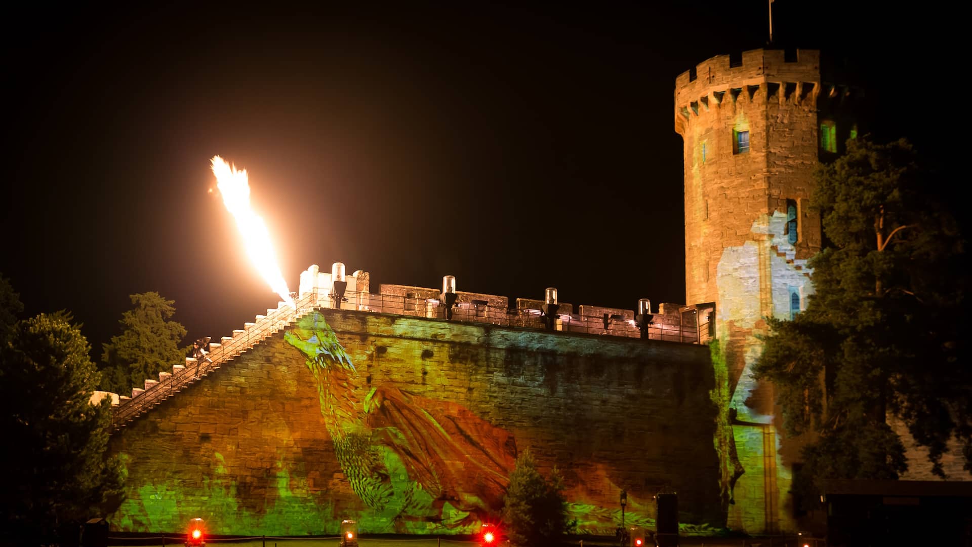 Sea Lion & Falcon Shows