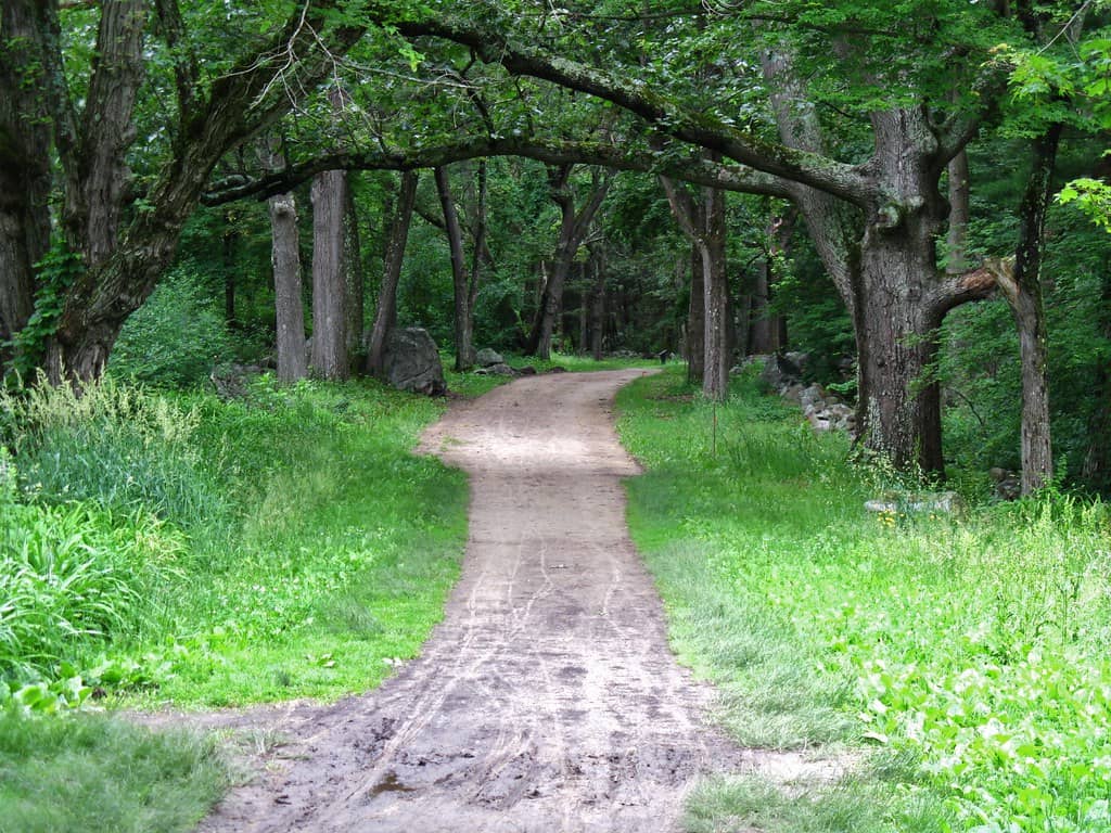 Battle Road Trail