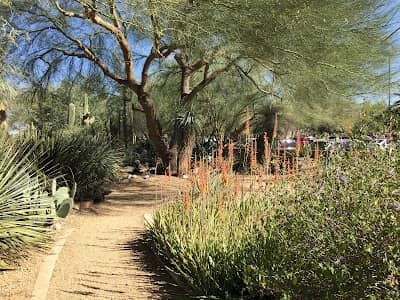 Butterfly Path