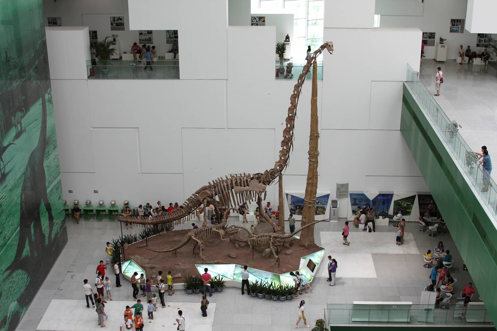 Biodiversity Hall