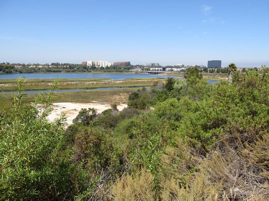 Upper Newport Bay Trails