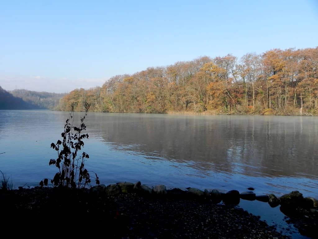 Lakeside Elegance