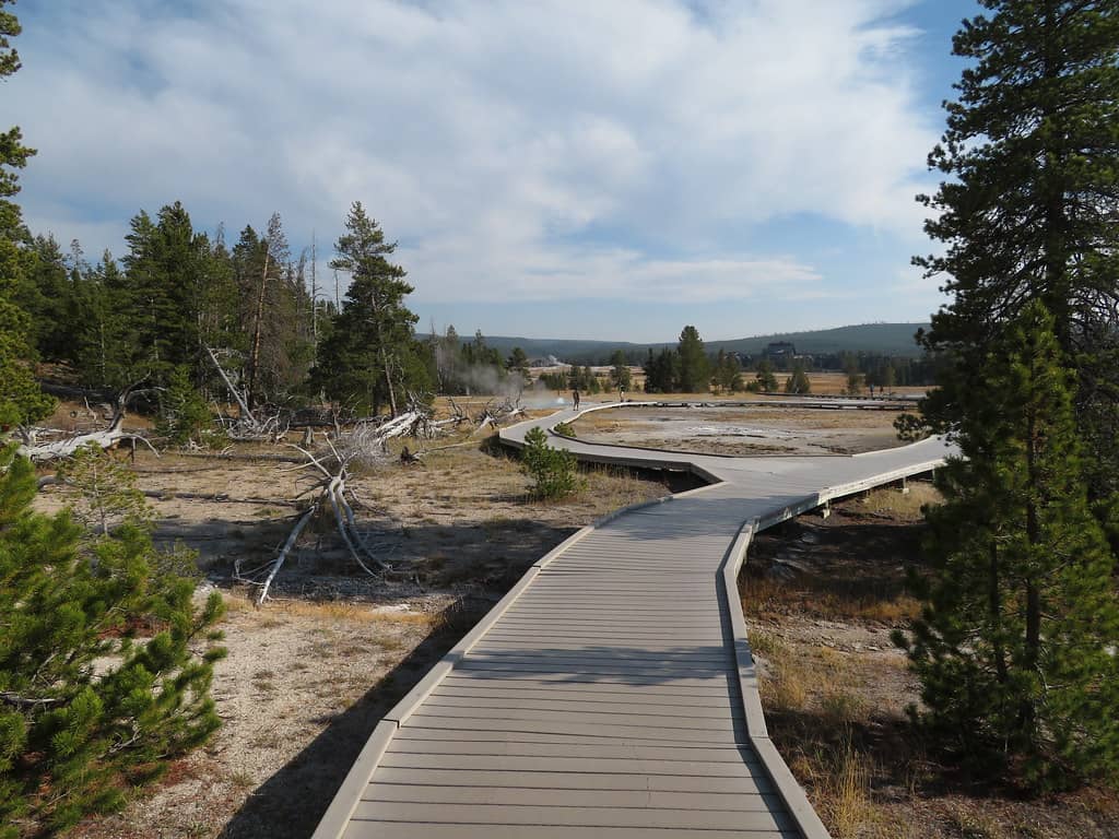 Scenic Hike to the Geyser