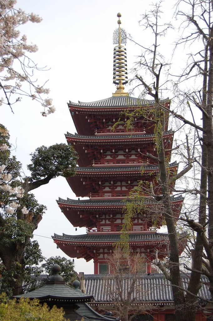 Pagoda Views