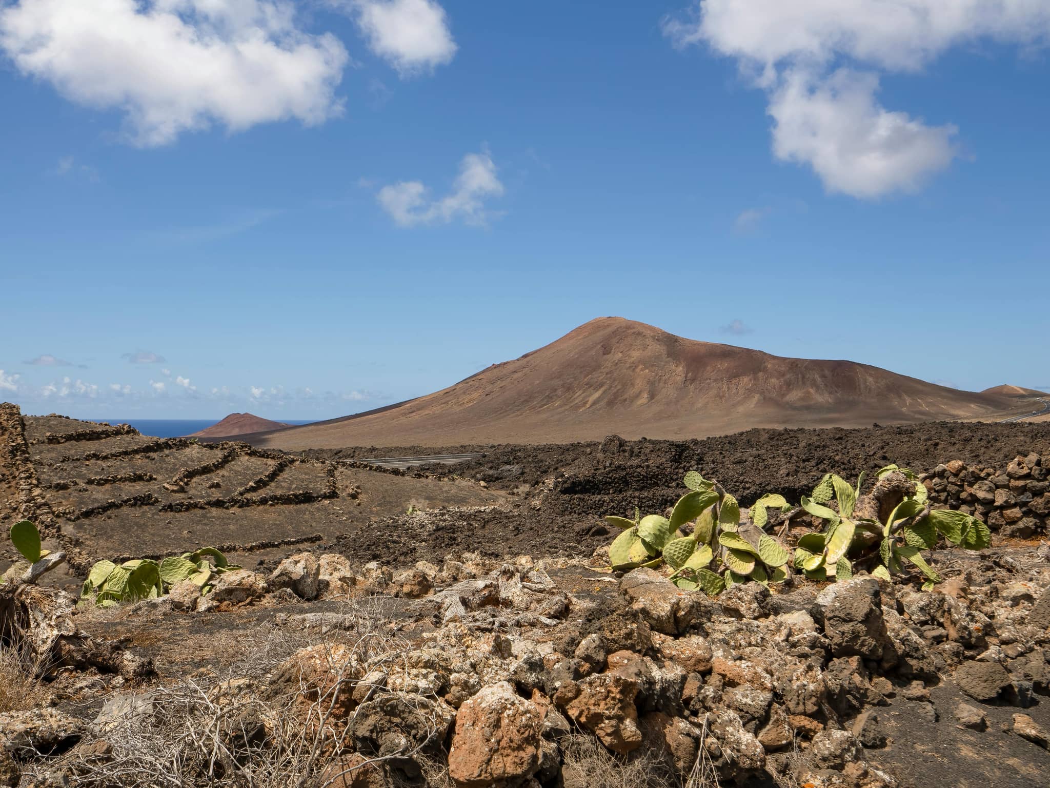 Vineyard and Lava Field Trails