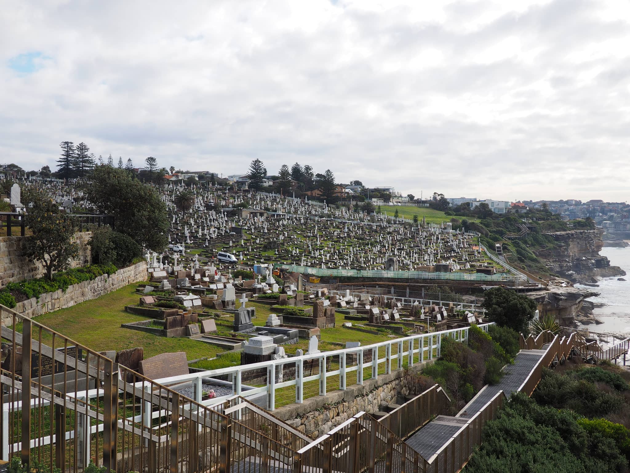 Bondi to Coogee Coastal Walk