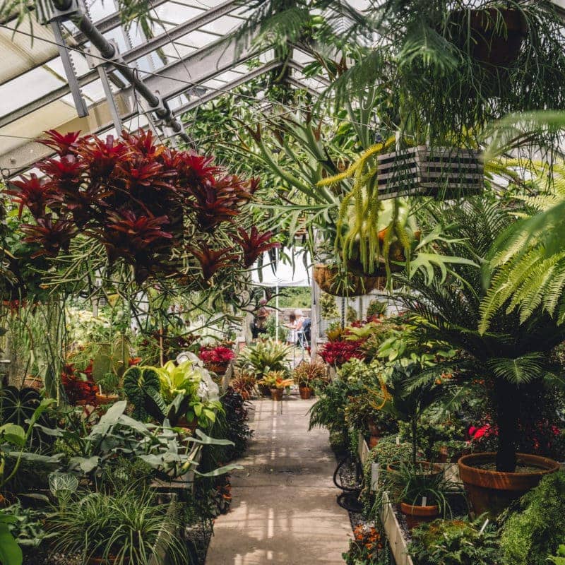 Themed Greenhouses