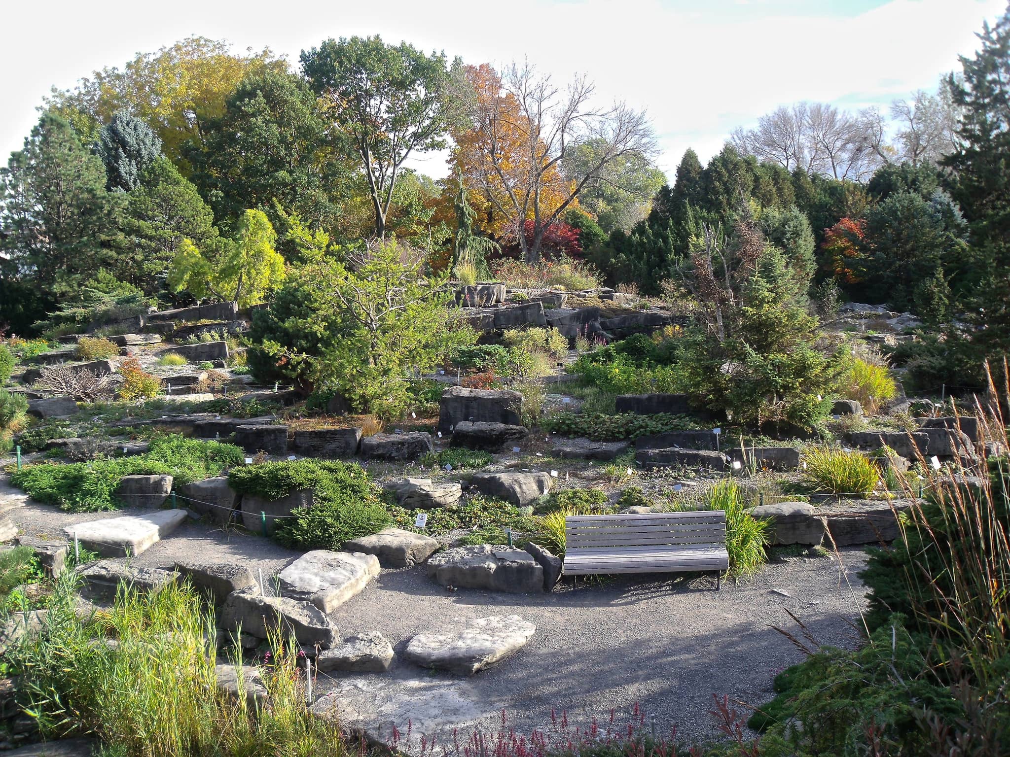 Alpine Garden