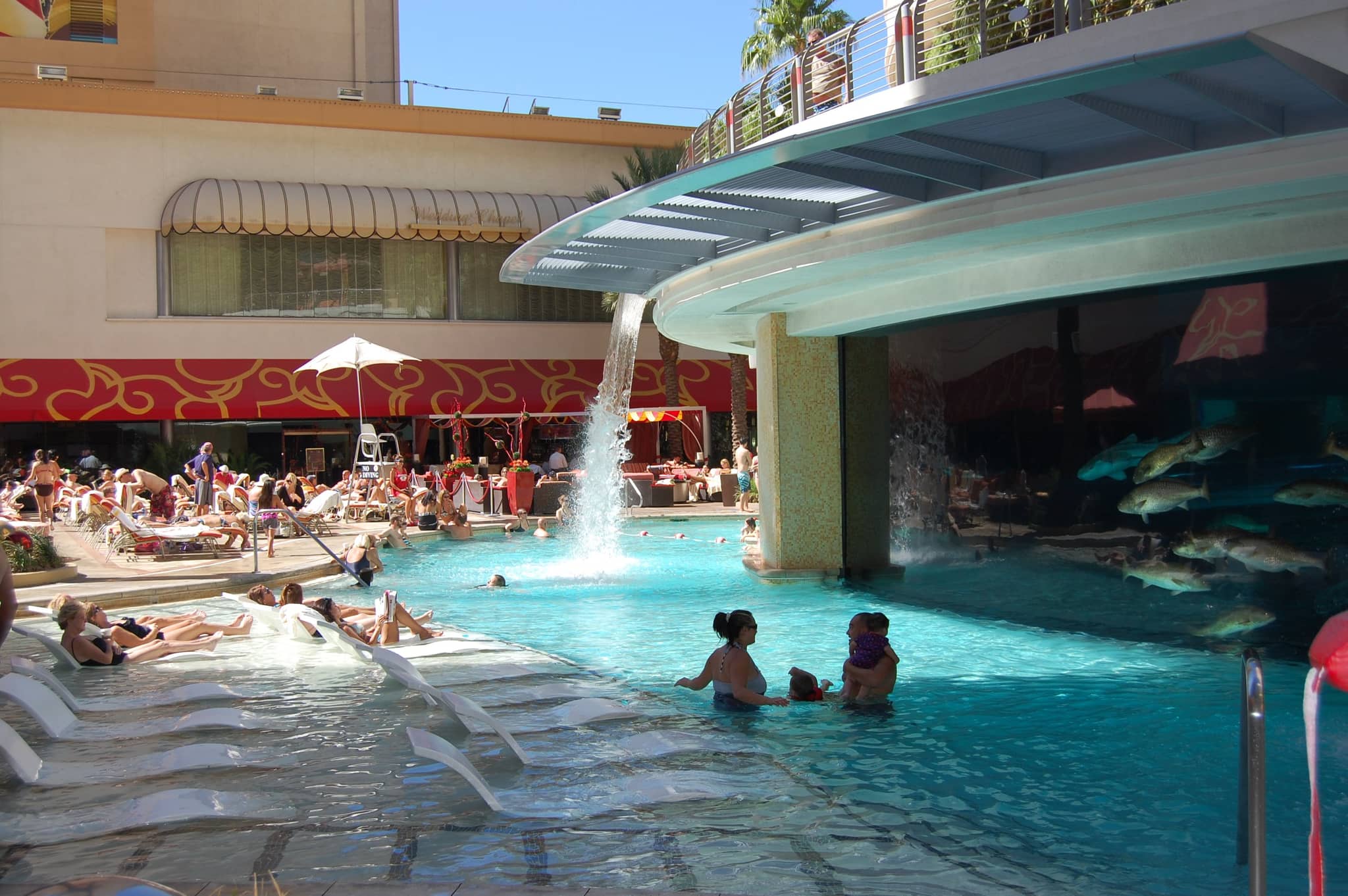 Poolside Relaxation