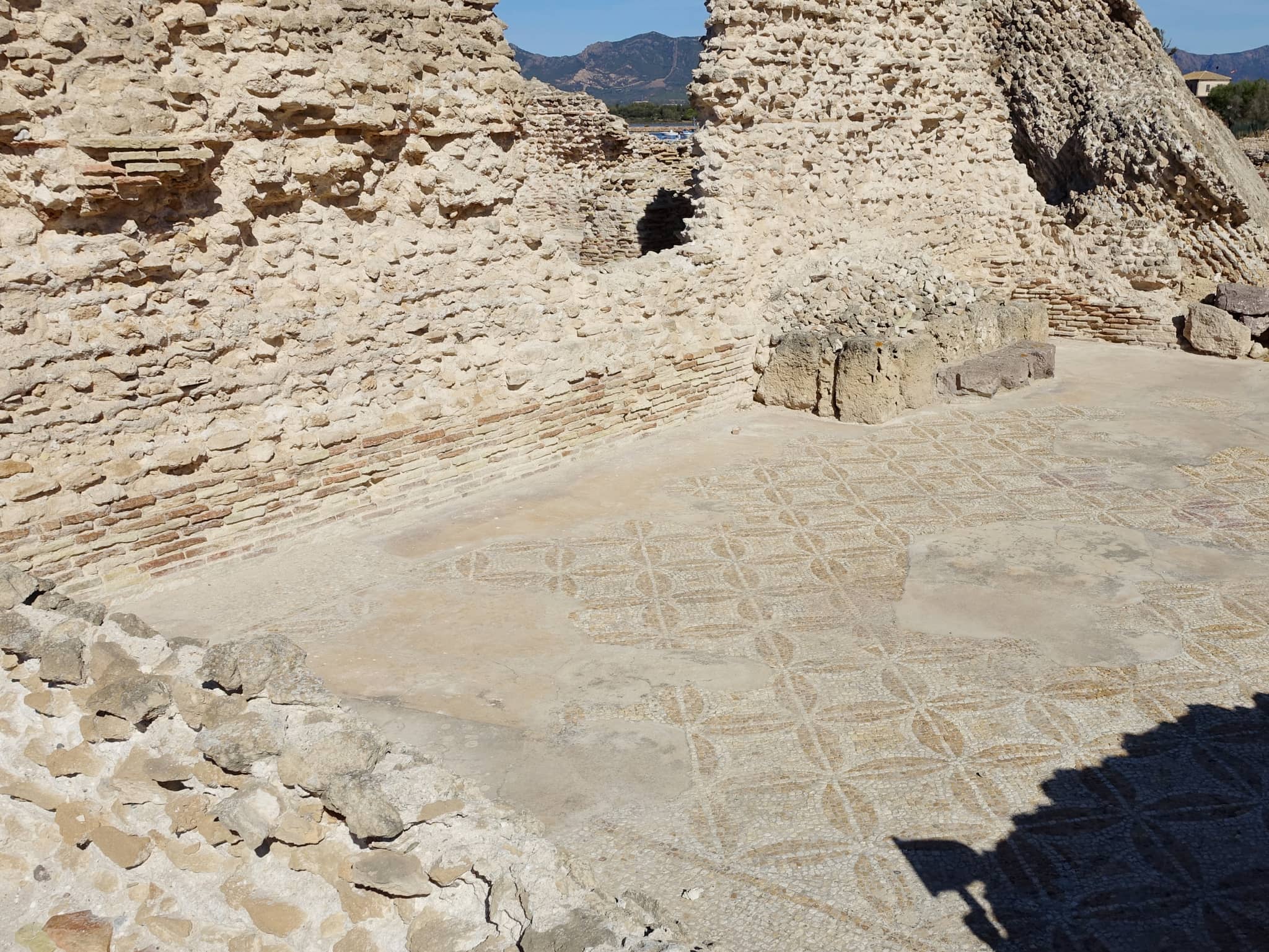 Ongoing Excavations