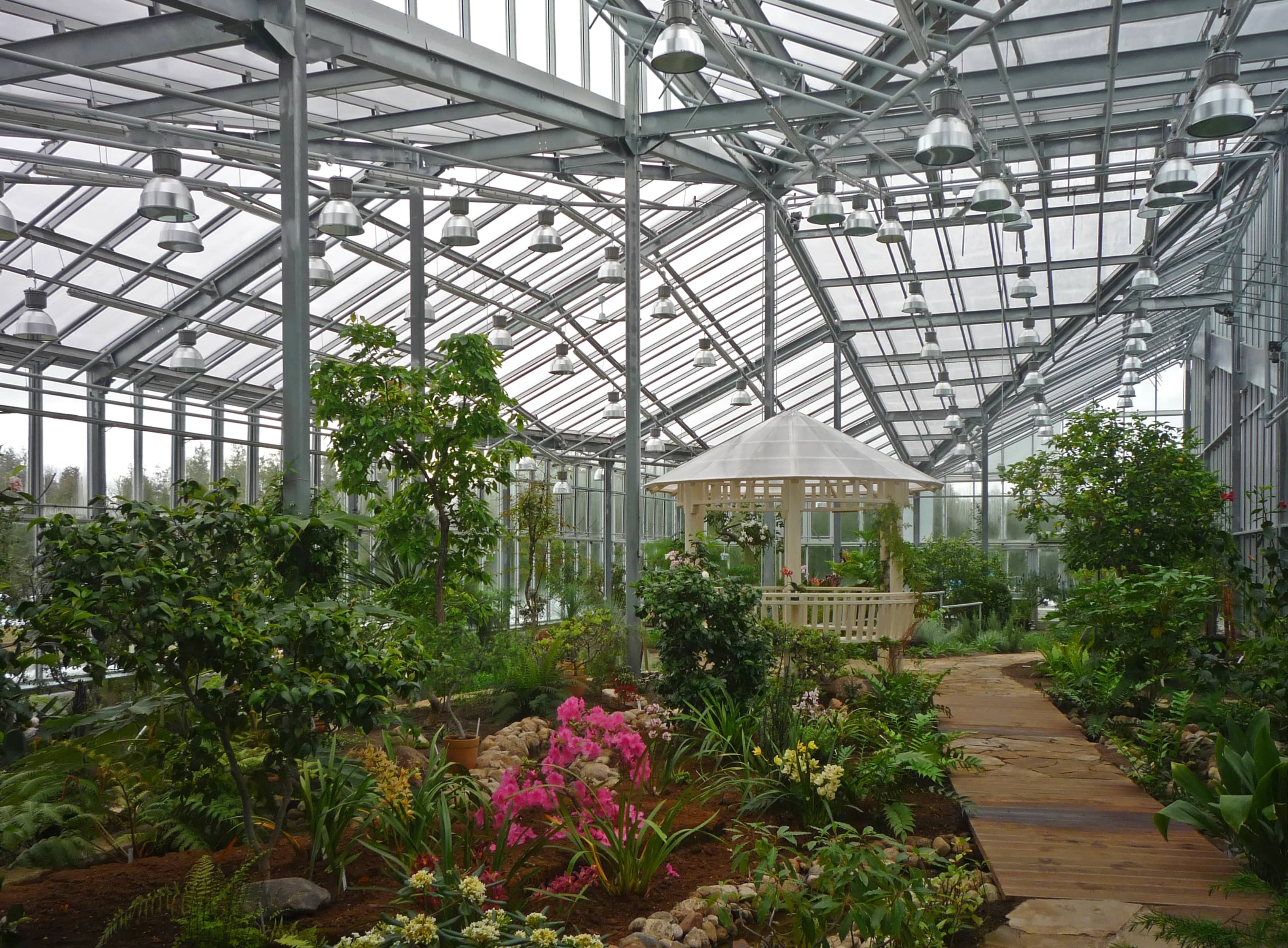 Tropical Greenhouse
