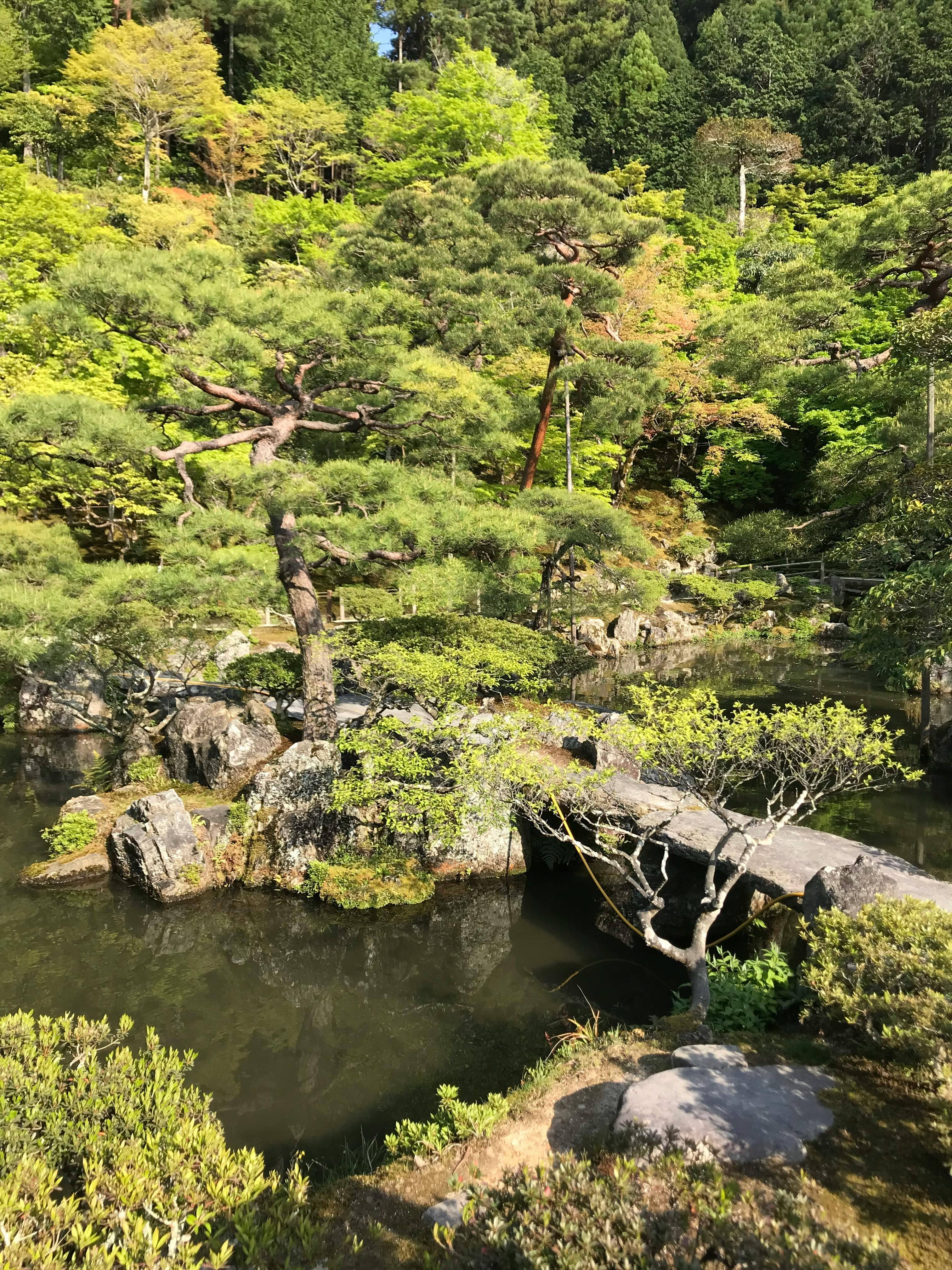 The Serene Atmosphere