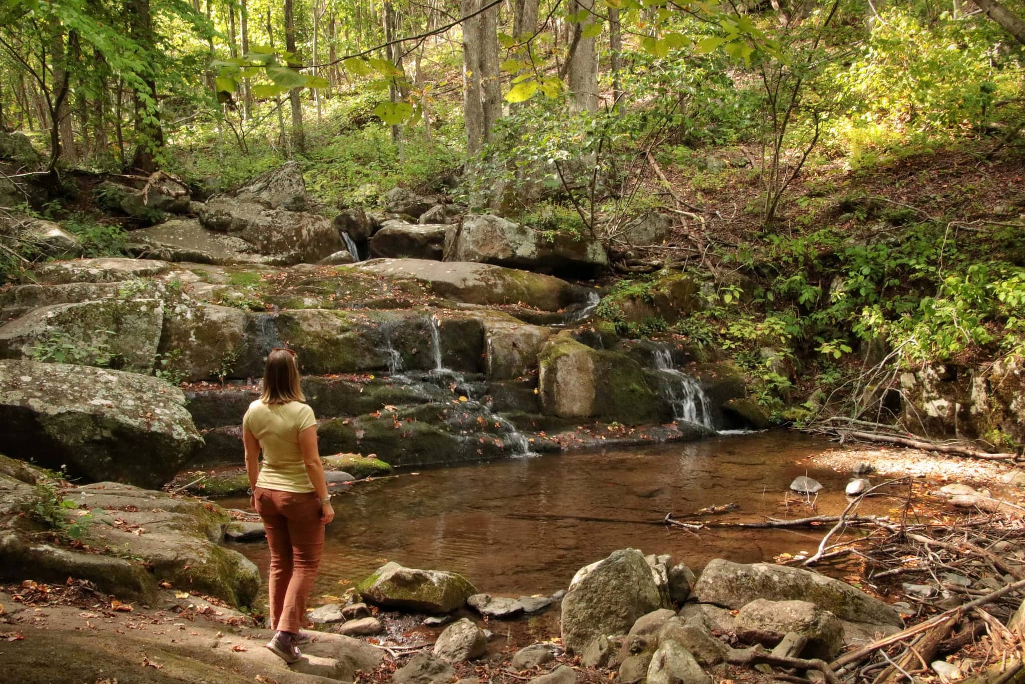 Dumbarton Oaks Park
