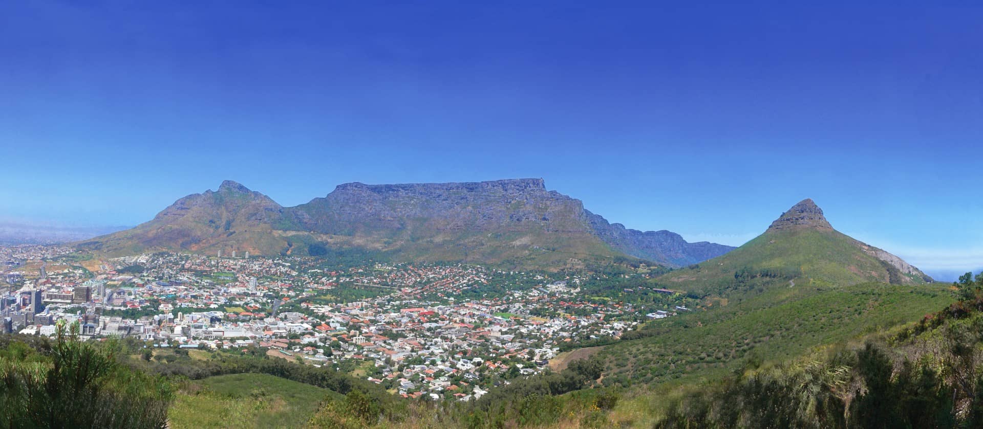 Panoramic Cityscape