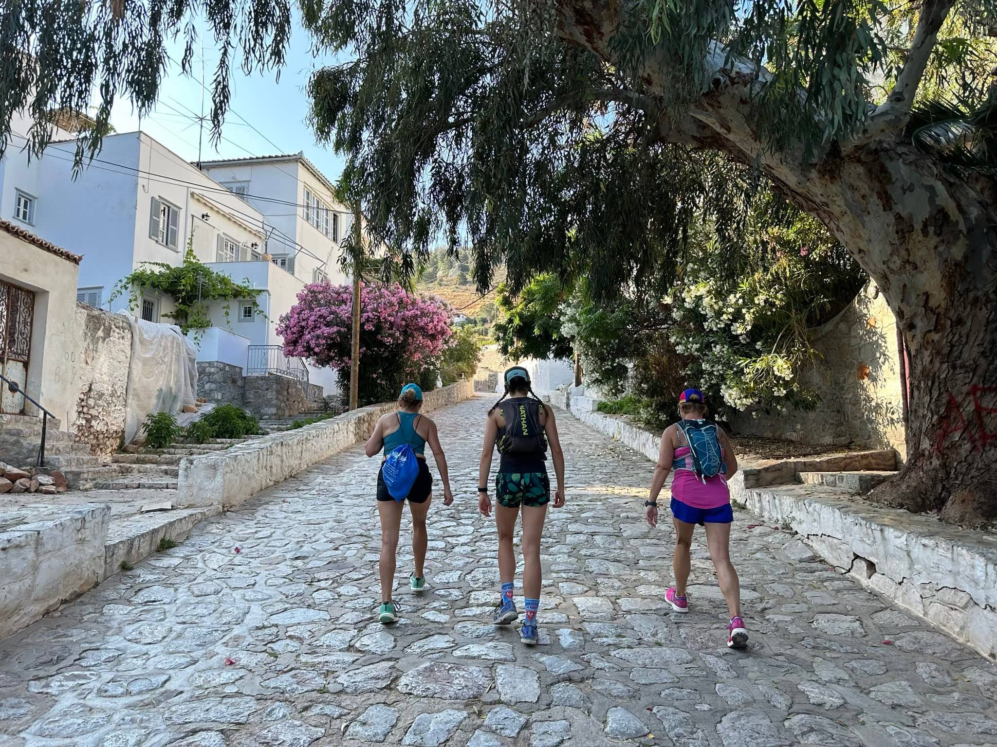 Scenic Cobblestone Path
