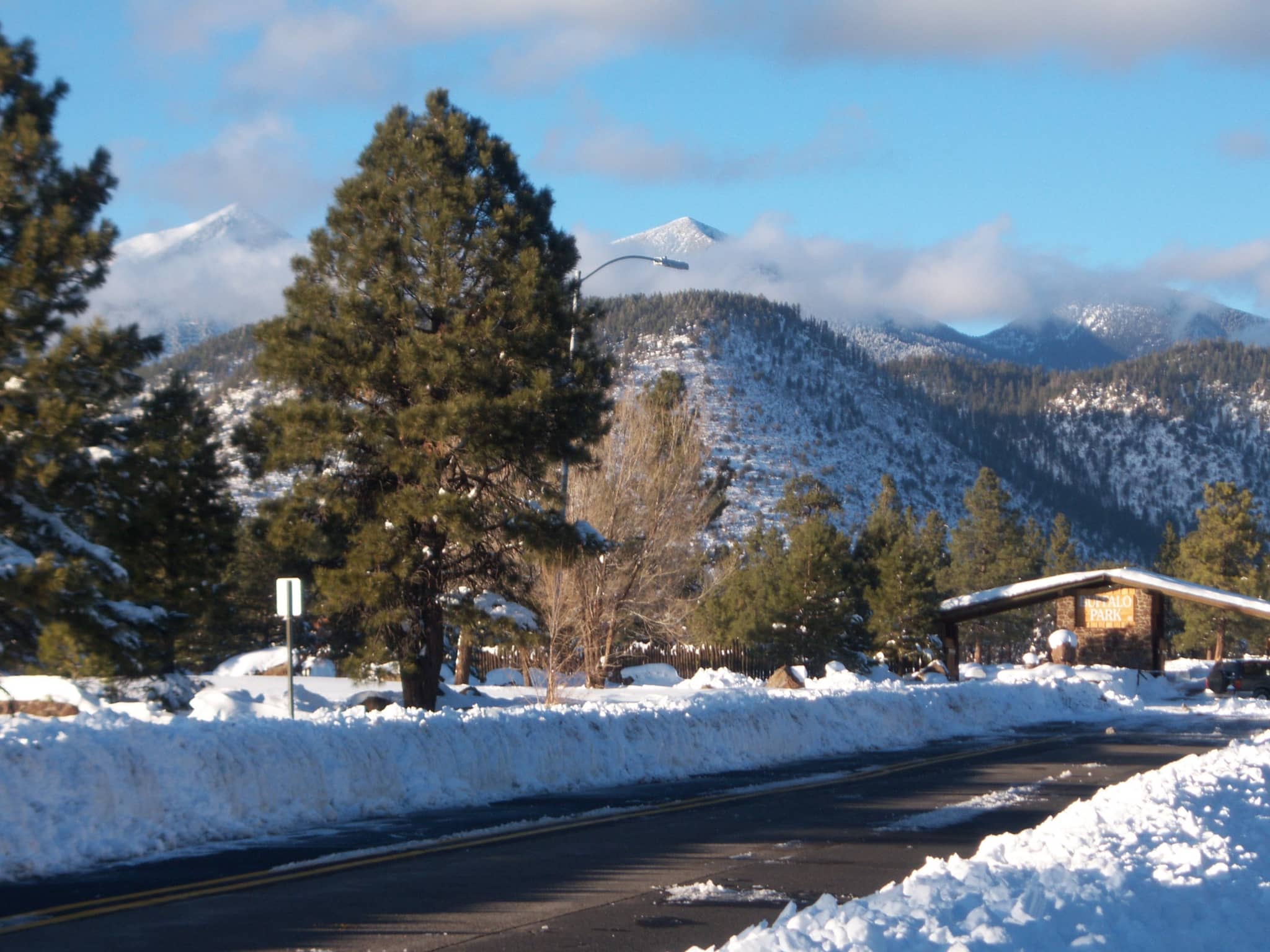 San Francisco Peaks Vista