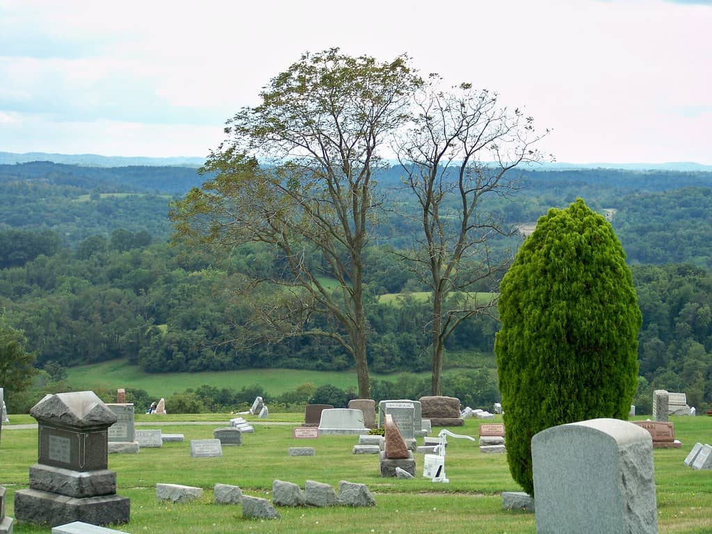 Scenic Hillside Views