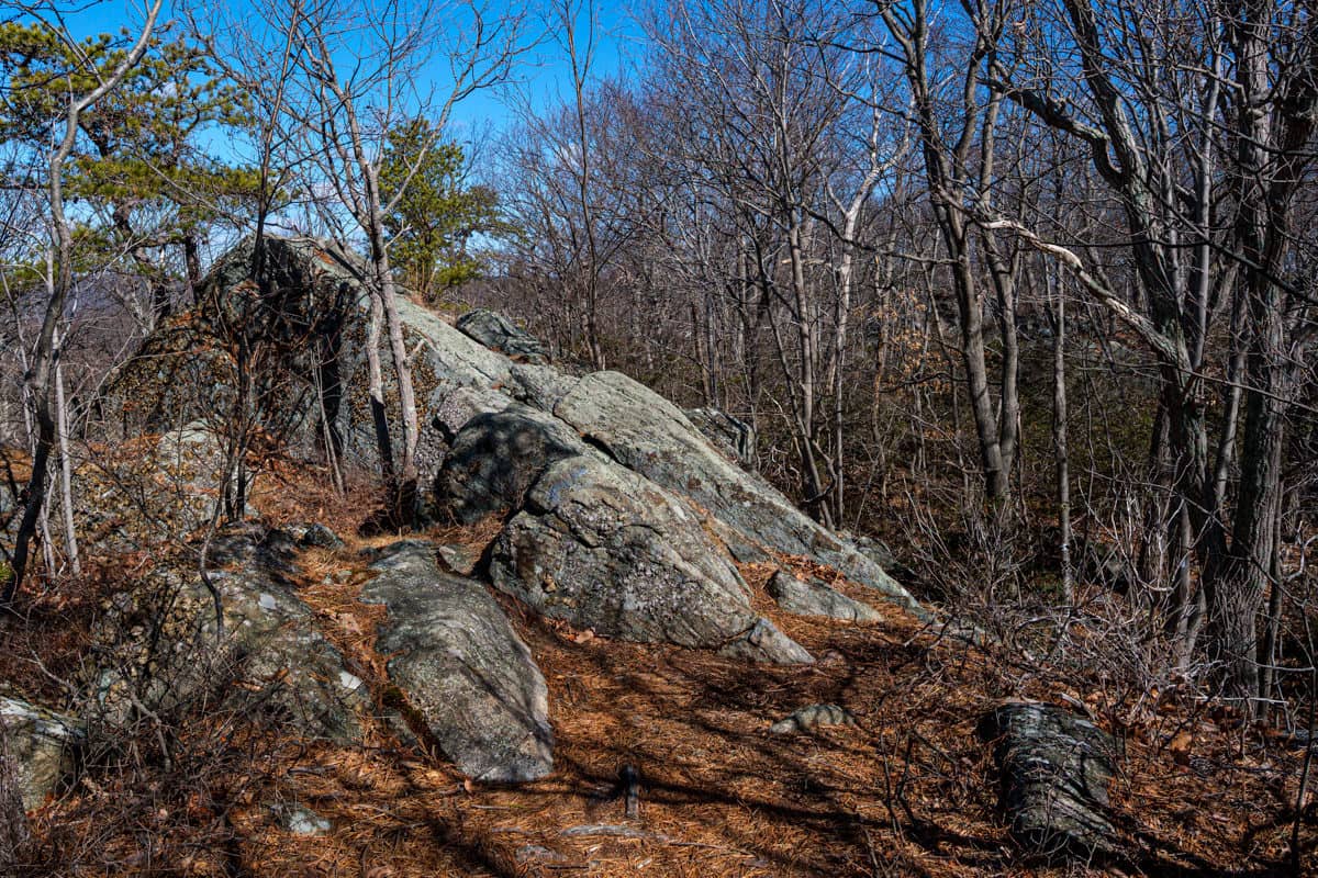 Marjan Park Trails