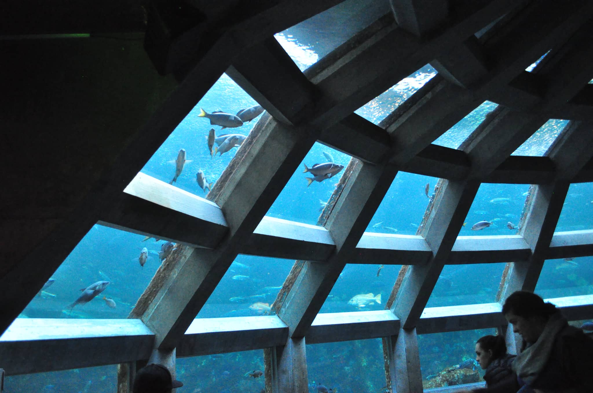 Immersive Underwater Room