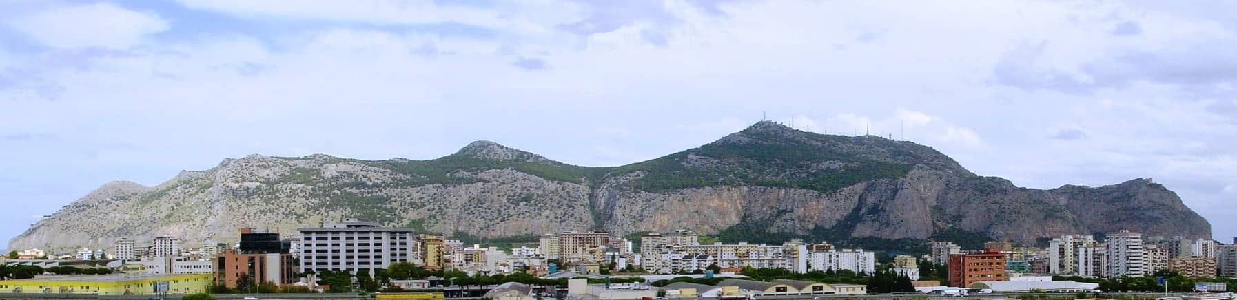 Panoramic City Views