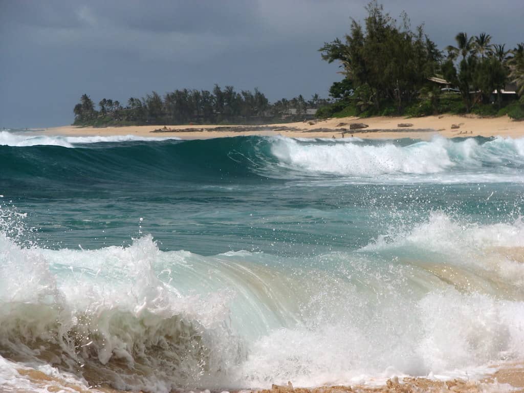 Golden Hour Ambiance