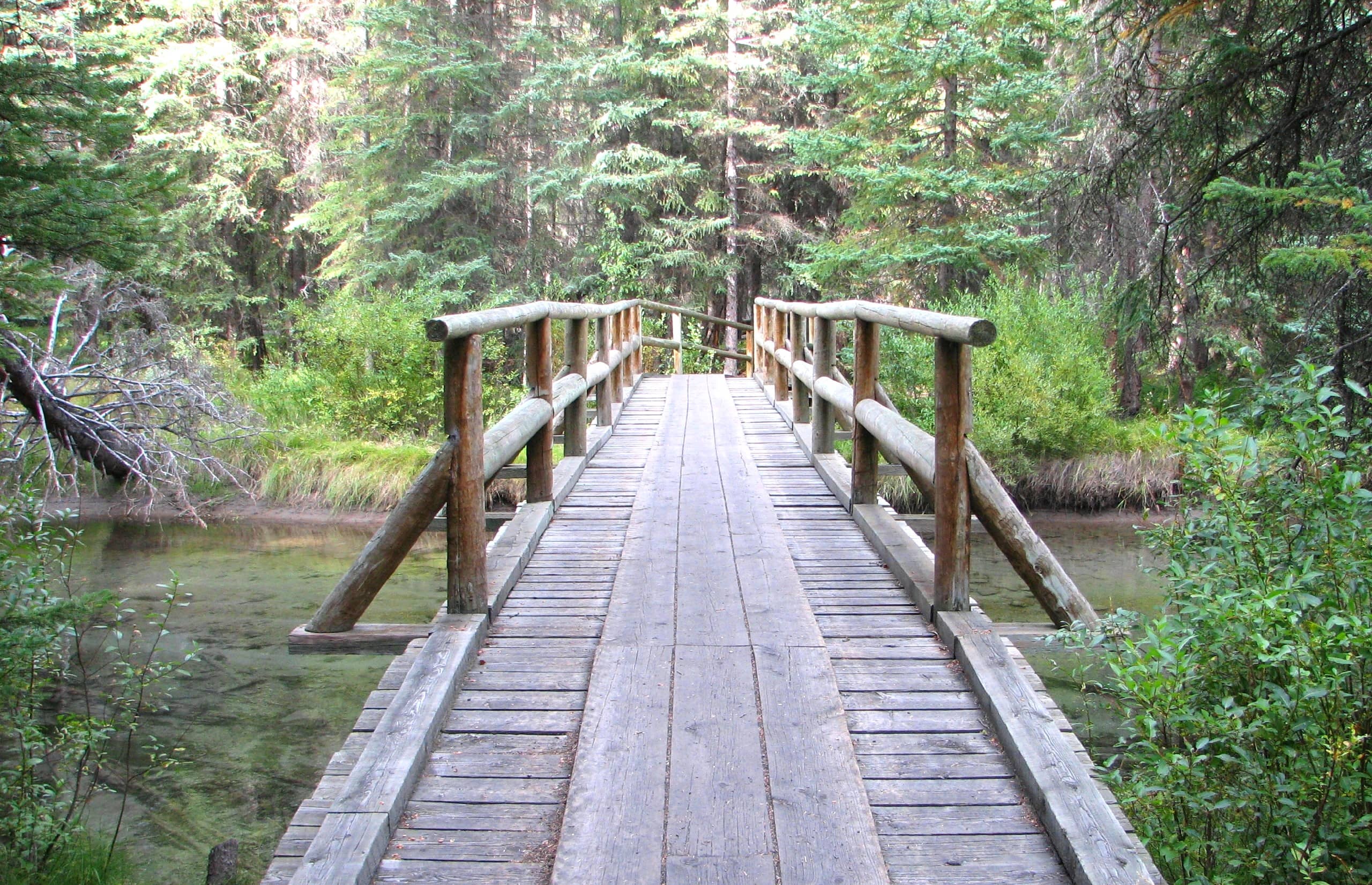 Wooden Bridges