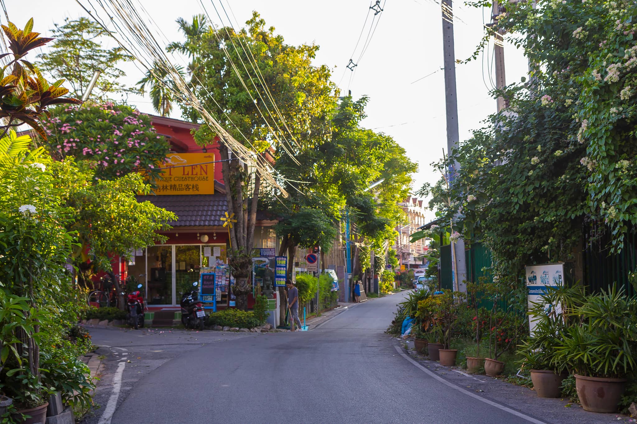 The Original Doi Chang Coffee