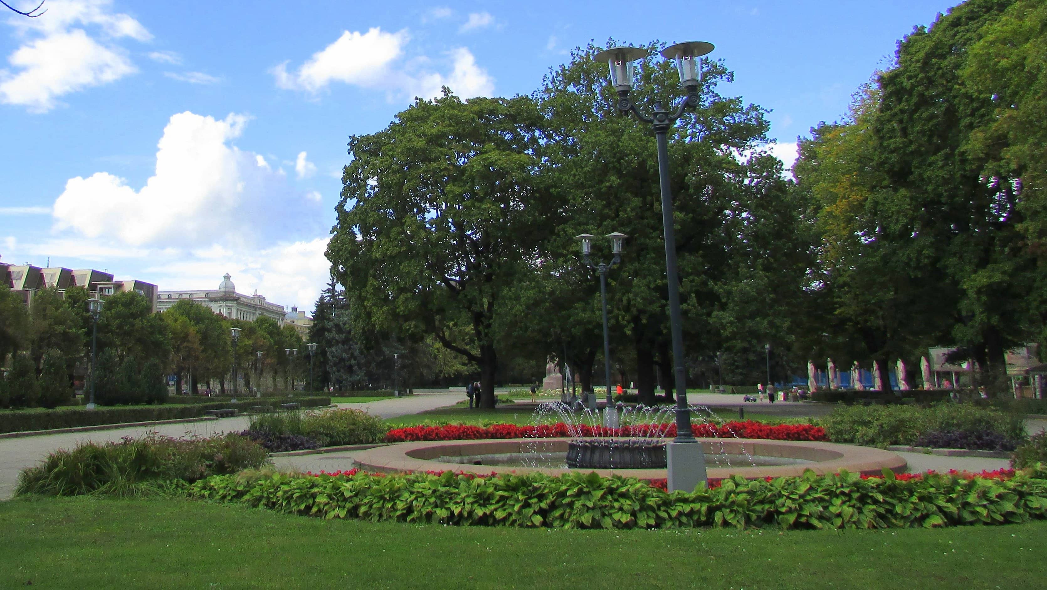 Lawn and Lakeside Relaxation