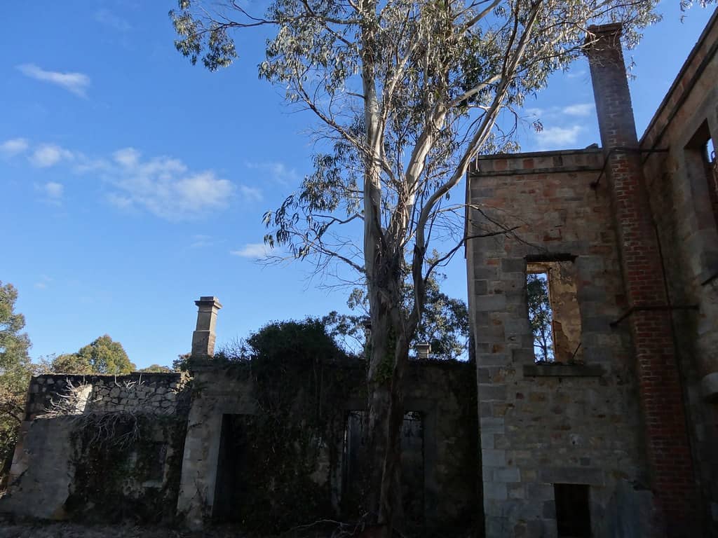 Summit Cafe & Exploration