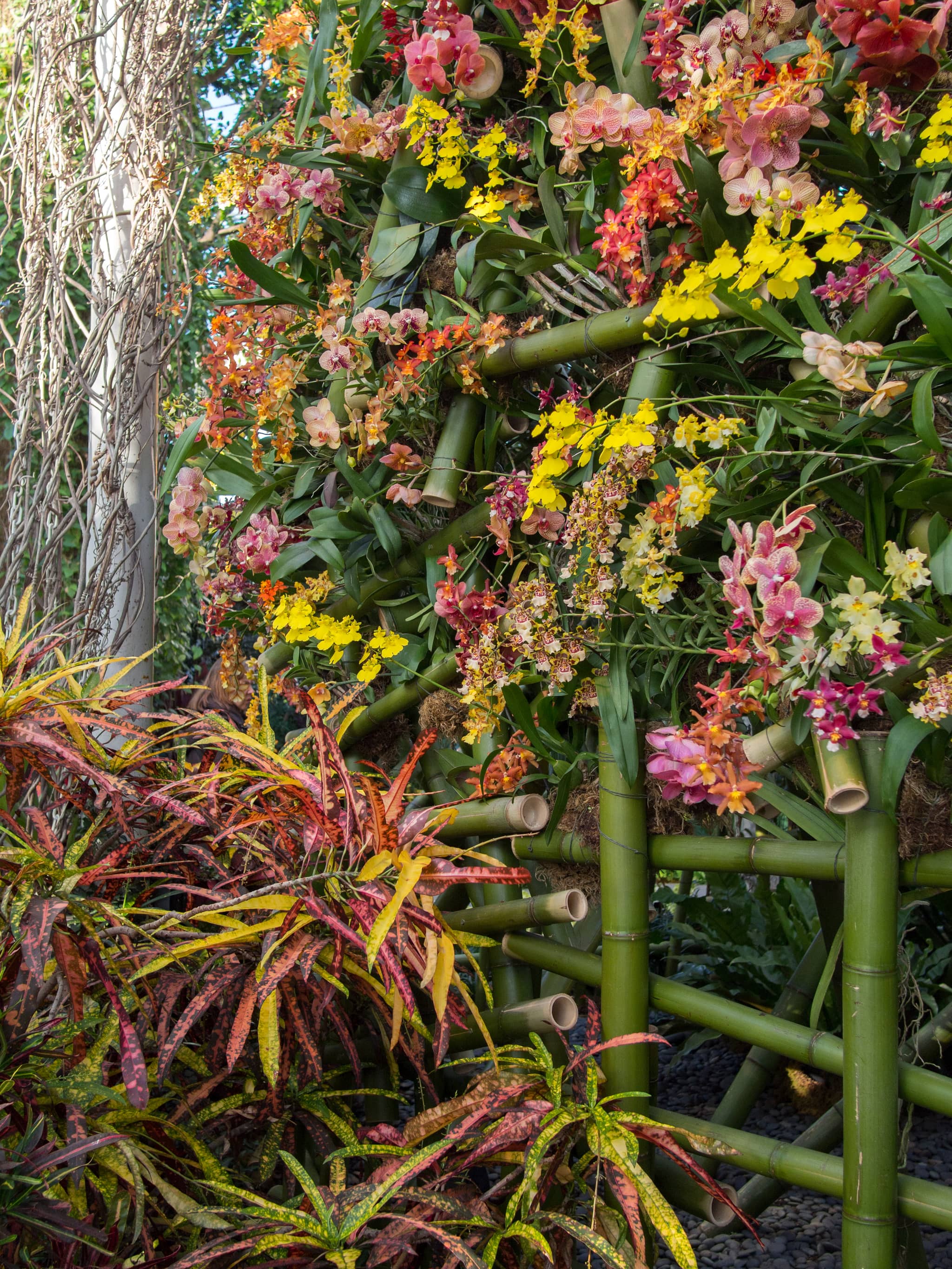 Seasonal Exhibitions