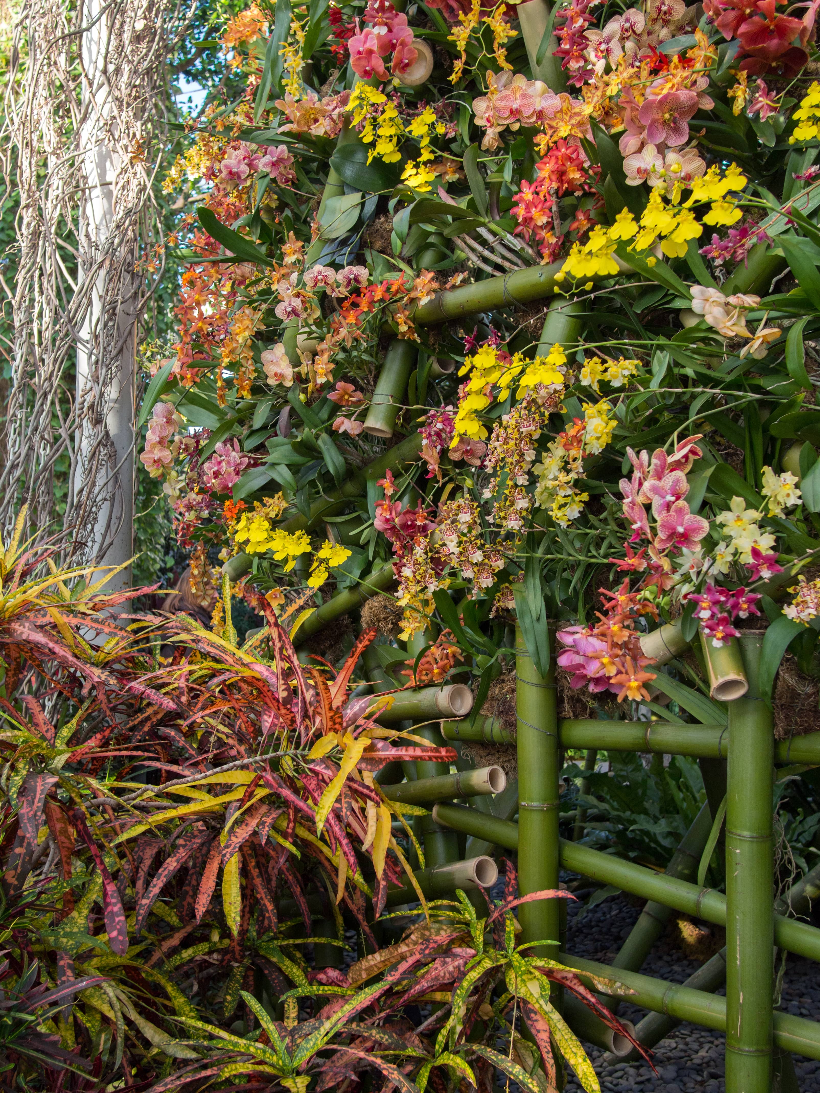 Seasonal Exhibitions